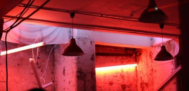 Work Them: Manchester's alternative disco club night returns