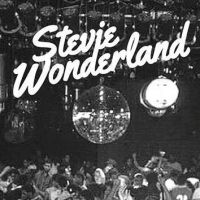 Review: Stevie Wonderland with Breakbot