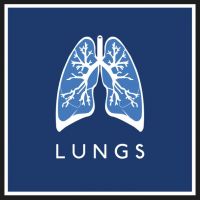 LUNGS interview: A band can have no weak links 