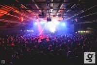 coming up at gorilla...