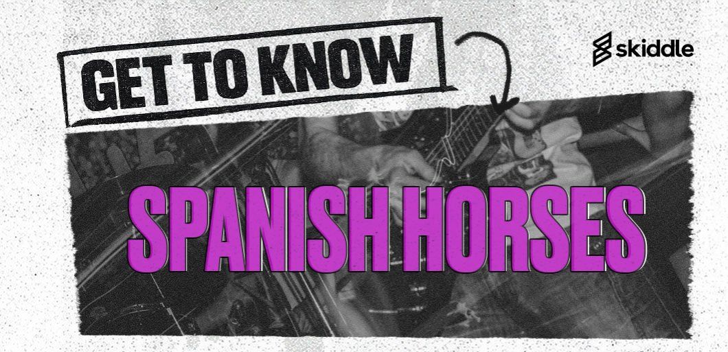 Get to know&period;&period;&period; Spanish Horses