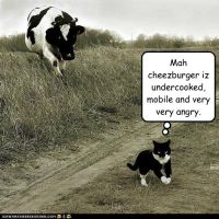 Alternative Comedy | Thursday @8pm | Free Entry 