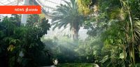 Liverpool's Palm House to host Greg Wilson and Paradisco events
