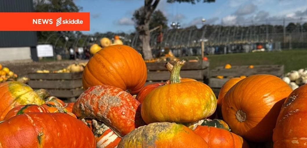 Farmer Copleys Pumpkin Festival is returning this autumn