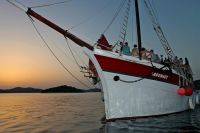 Spotlight: Festivals in Croatia