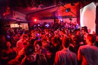Promoter Focus: Face