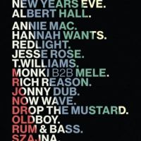 New Years Eve at Albert Hall with Annie Mac and Hannah Wants 