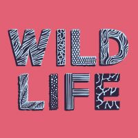 Review: Sunday at Wild Life 