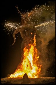 A Brief History of Wickerman Festival