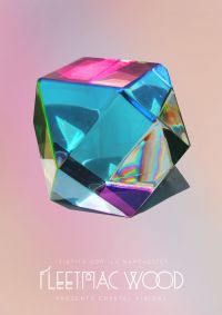 FLEETMAC WOOD PRESENTS CRYSTAL VISIONS