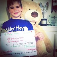 Team Ted Fundraising Goals