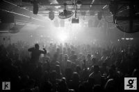 this week at gorilla