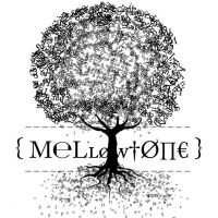 Viper and Mellowtone at The Palmhouse 