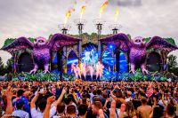 Five of the best at Electric Daisy Carnival