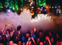Gottwood Festival 2016 review