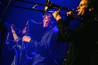 Record Press: Jungle By Night