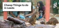 Cheap Things to do in Leeds