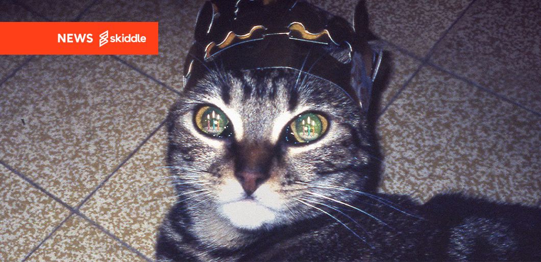 news article image asset