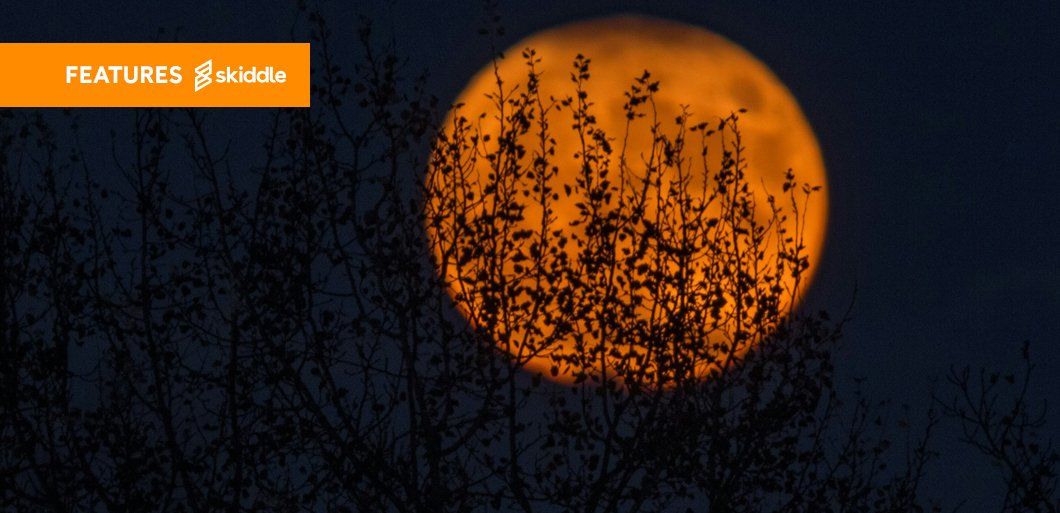 The best Halloween events to attend in Cardiff