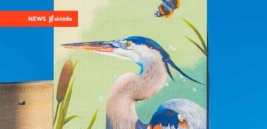 Sheffield to be lit up by new illuminations