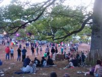 Staying Safe at Festivals 