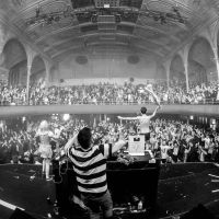Bongo's Bingo makes Birmingham debut this winter