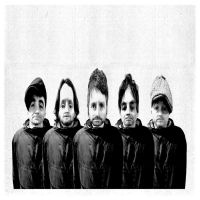 Super Furry Animals interview: Fuzzier Logic