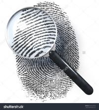 007 Murder Mystery Dinner