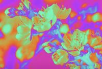 Camelphat unveil new tune 'Hypercolour' with Yannis from Foals