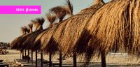 Best Beach Clubs in Ibiza