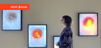 New exhibit at Leeds Art Gallery puts spotlight on nature