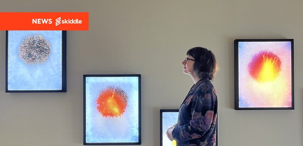 New exhibit at Leeds Art Gallery puts spotlight on nature