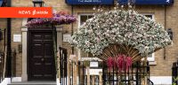 Chelsea in Bloom returns this week with cosmic floral displays across West London