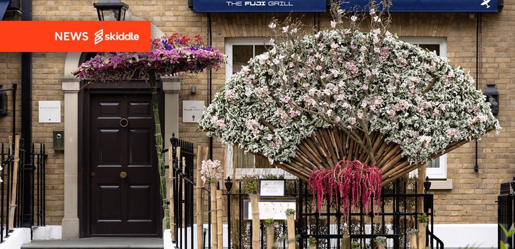 Chelsea in Bloom returns this week with cosmic floral displays across West London