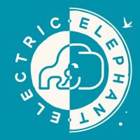 Electric Elephant Festival reveal first acts for 2015 line up