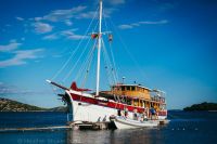 Electric Elephant announces boat party line ups