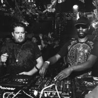 Mint Festival 2015 Review