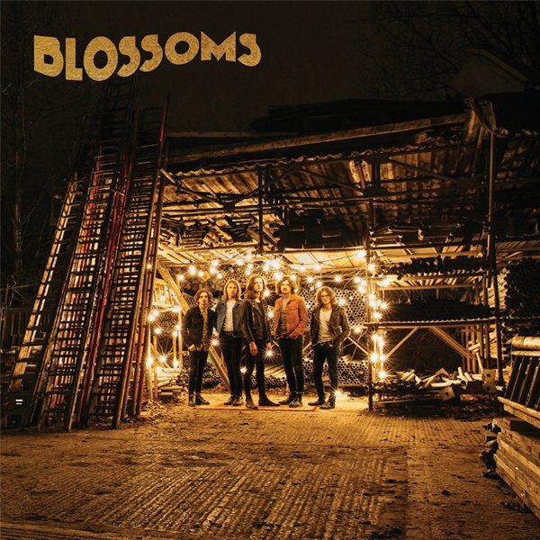 Blossoms 'Blossoms' review