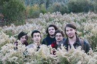 Twin Peaks interview: Chicago's scene is hot 