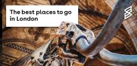 The best places to go in London