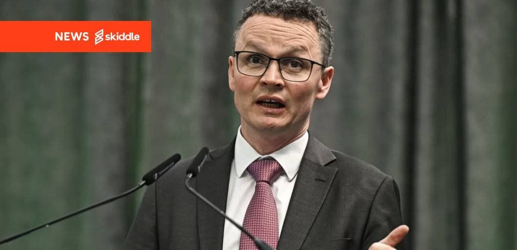 Irish government approves Basic Income for the Arts scheme for 2026 