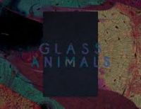 Glass Animals release new video for 'Black Mambo' 