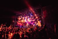 Five of the best: Exit Festival