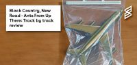 Black Country, New Road: Ants From Up There - Track by Track Review