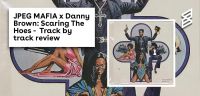 Danny Brown & JPEGMAFIA: Scaring The Hoes track by track review