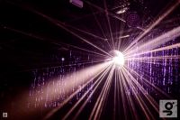 coming up at gorilla...