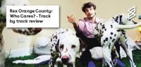 Rex Orange County: Who Cares? Track by Track review
