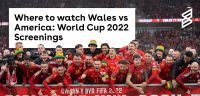 Where to watch Wales vs America: World Cup 2022 Screenings