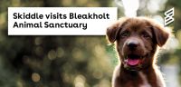 Skiddle visits Bleakholt Animal Sanctuary