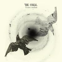 The Coral interview: It's exploded and gone technicolour
